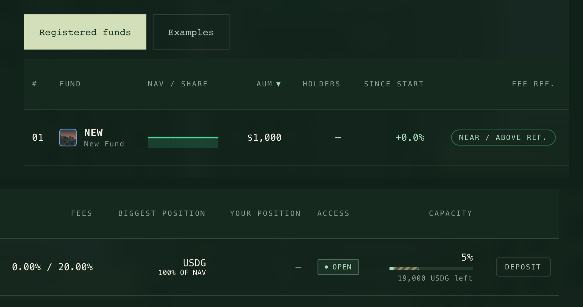 Fund directory with the Registered funds and Examples switch, listing a newly created fund from its value per share to its access and capacity